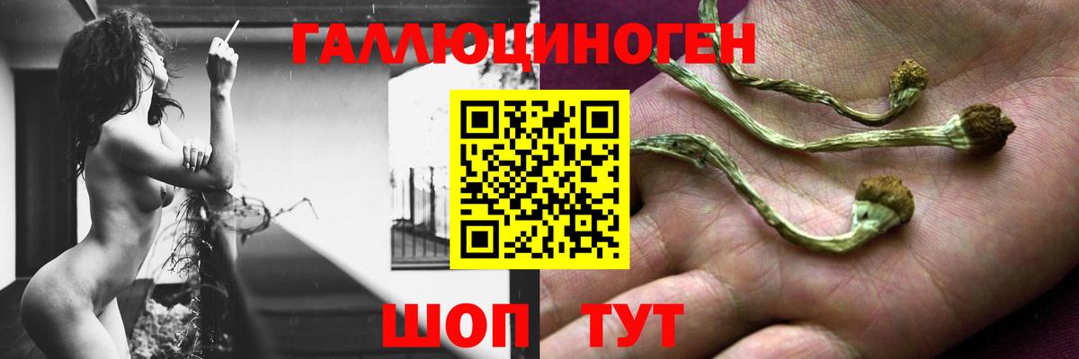 Купить наркоту  ГАШ  COCAIN  Cocaine  Вейп ТГК  Вход с VPN  LSD-25  Усолье-Сибирское  МАРИХУАНА  Меф МЯУ МЯУ  
